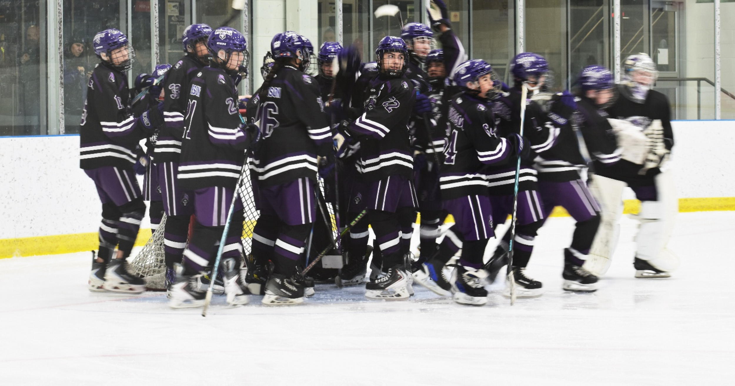 The Red River Reapers are a AAA Hockey Program with teams competing in the Premiere Hockey League (PHL)